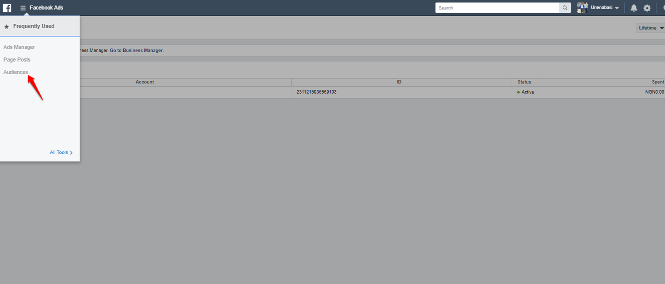 Creating Facebook Custom Audiences Image Image of Ads Manager