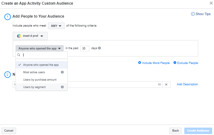 Creating Facebook Custom Audiences Image Image of Creating Custom Audience App activity 1